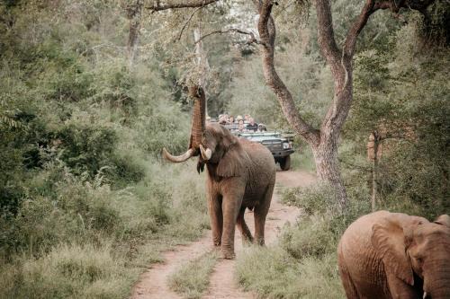 Karongwe - Noka House