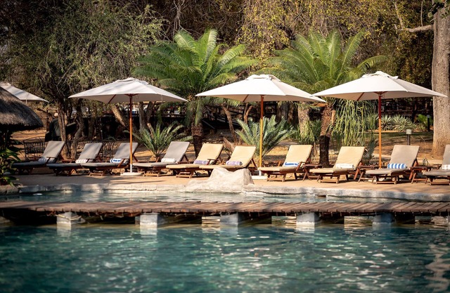 Karongwe- Shiduli Safari Lodge