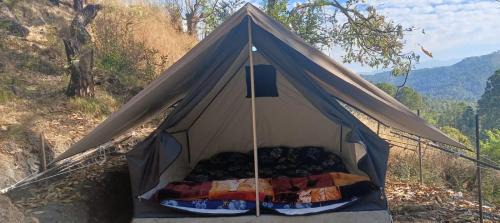 Kasar jungle camp