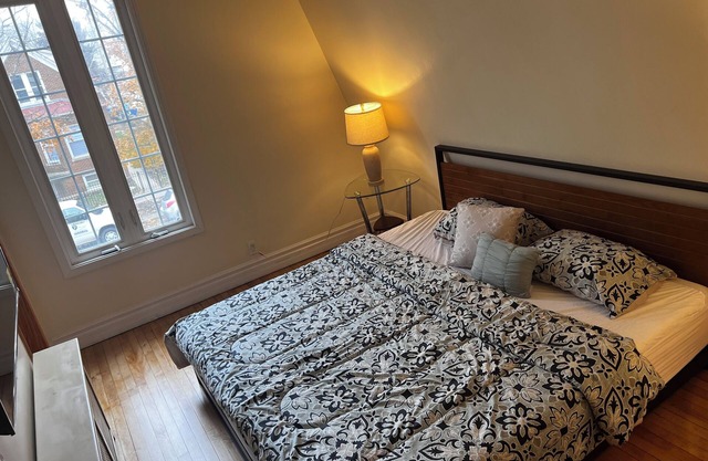 King Bed! Sleeps 8, WiFi, AC in vibrant Chicago one car garage parking