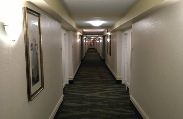 King Room Near West Marine ORL