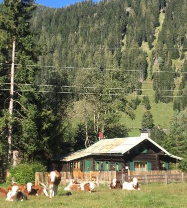 Knusperhauschen Sonnegg