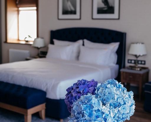 Kostroma Hotel Golden Ring