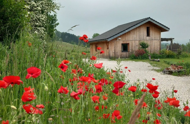 L'abrier éco Maison Bois Proche des Lacs et de la Nature, Calme Garanti !