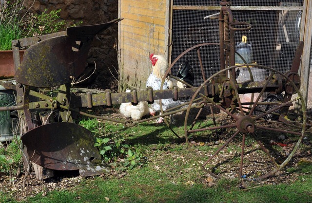 La Ferme de Flo' - Cochon - Double ou Twin Confort