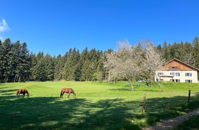 La Ferme des Brosses