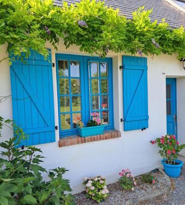 La maison des animaux de compagnie