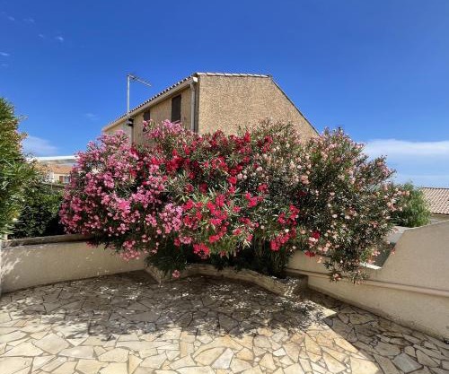 La Maison sur la côte