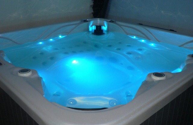 LA MARIENNAYE- PRIVATE SPA/VENDEE/15MIN PUY DU FOU
