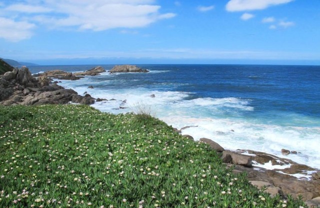 La Pinède, bungalow 4 pers. by Interhome