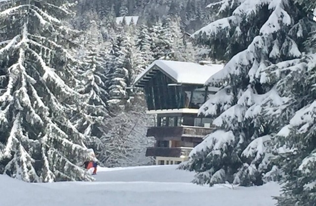 La Taniere - spacious ski-in/ski-out apartment in Les Gets located on the piste