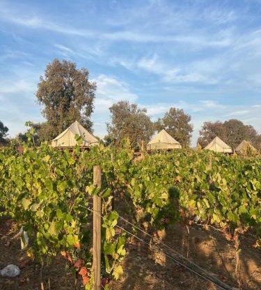 Lago Valle Wine Glamping