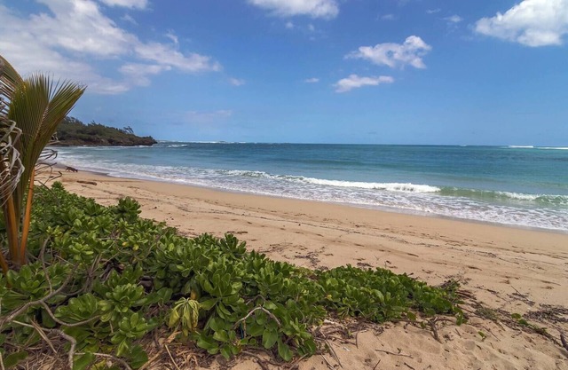 Laie Beachfront - Spacious yard, Steps to the beach