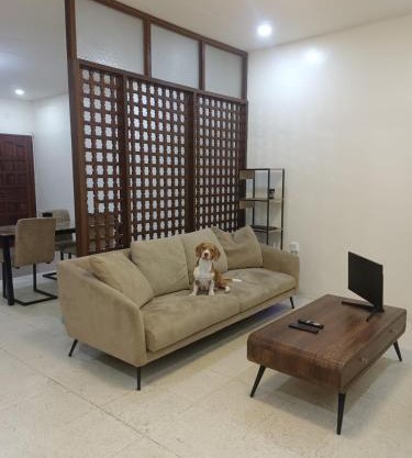 Laika the Beagle's Home away from Home - Clark