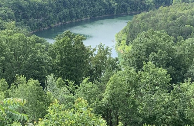 Lake Cumberland Ohana. Kid friendly, best views, hot tub.