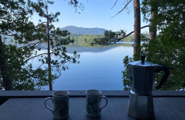 Lake front Family Cabin Nestled into ADK State Park (lake access only)