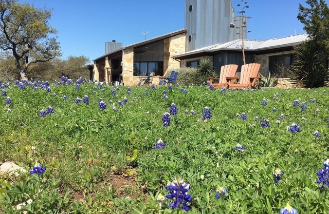 Lake Travis Waterfront, Pool, Pool Table, Shuffleboard, Ping Pong, Sleeps 25