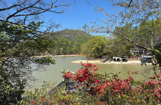 LAKEFRONT - Bring Some Love to Lake Lure