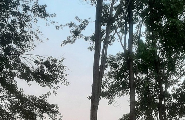 Lakefront Stunning Modern Container Home