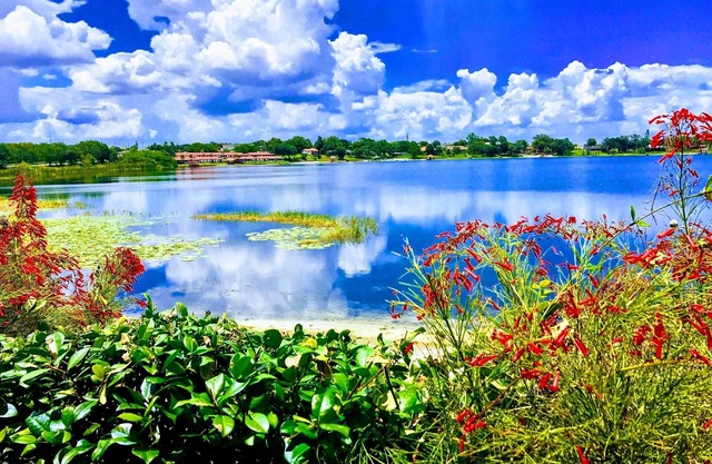 Lakefront Villa with Pool, Beach, and Private Kayaks, Canoe, Grills & Garage!