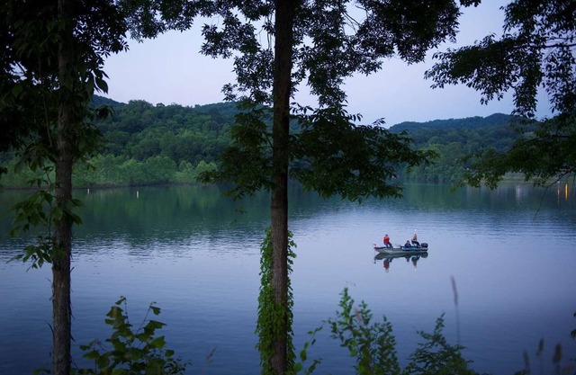 Lakeside Lodge Room | Lakeview | Pets Allowed