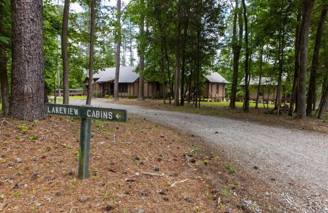 Lakeview cabin: Perfect for large groups & ball teams minutes from lakepoint!