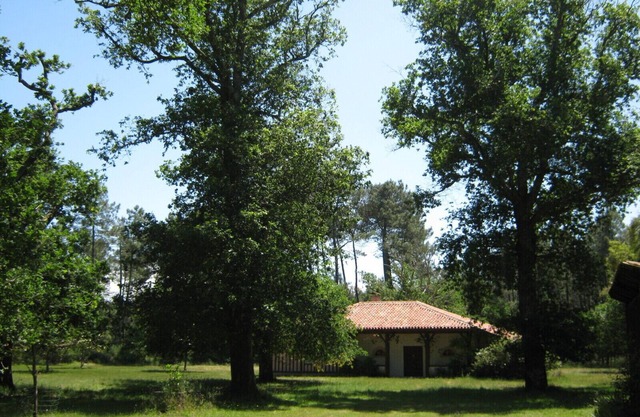 Landes house in the heart of the forest, 10 minutes from the beaches.