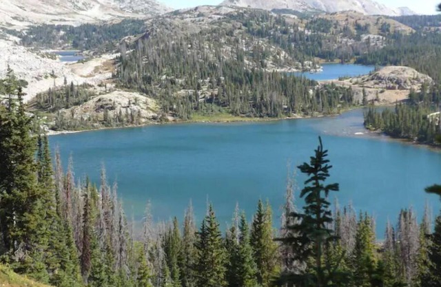 Laradise ParadisenFeaturing local Artists' paintings. n