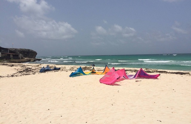 Large 1-Bedroom Budget Apt in the Perfect Location