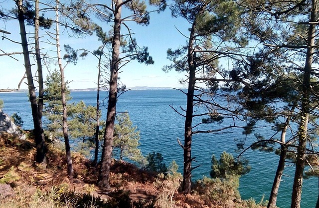 Large and bright comfort villa with Jacuzzi at 800 m from the beach of Pentrez