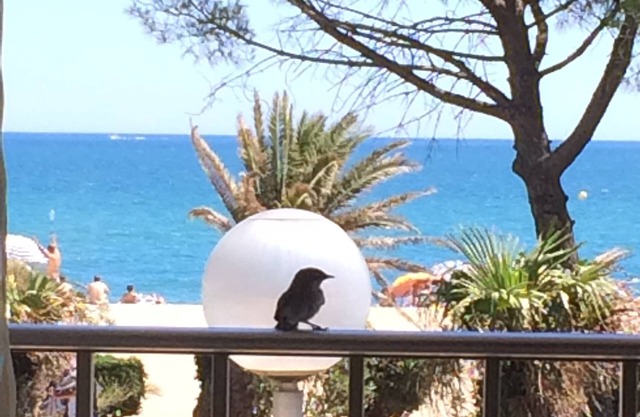 Large apartment, exceptional sea view, seafront, Argeles Plage, Climatisation