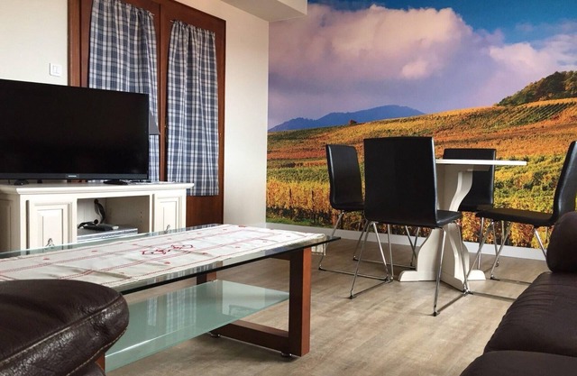 Large apartment Gite with terrace