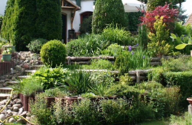 Large, quiet apartment in the quiet Schöneiche near Berlin