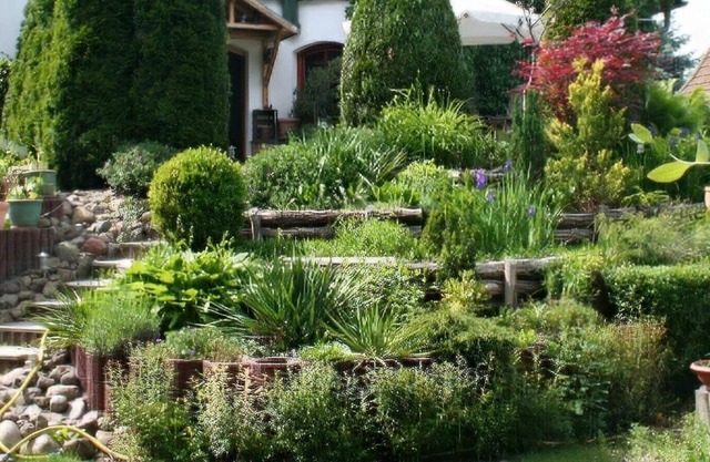 Large, quiet apartment in the quiet Schöneiche near Berlin