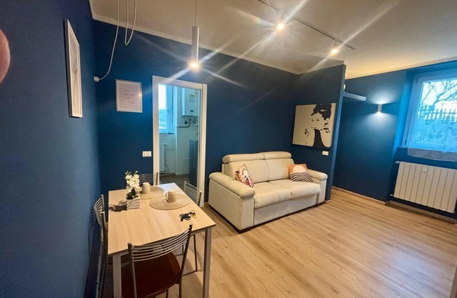 LARGE STUDIO APARTMENT, SHORT RENTALS SUITABLE FOR SINGLES, FAMILIES