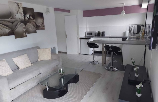 Large Studio of more than 50 m2 rented in full near Paris