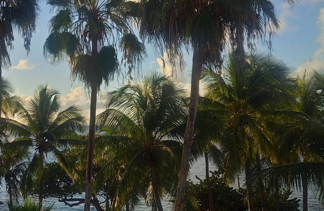 Large studio, sea access, cistern, downtown Gosier