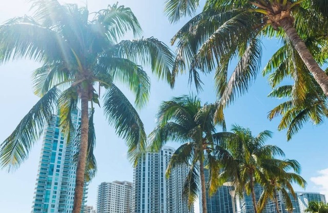 Large Studio w/Fast Wi-Fi + Free Parking Spot