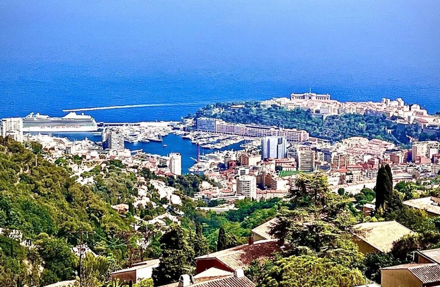 Large Villa, 4 bedrooms, unique panoramic view of Monaco, gardens, swimming pool