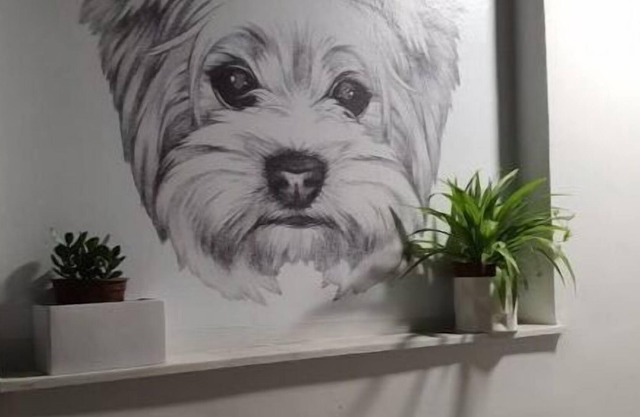 Larry's little place in the center of Gytheio