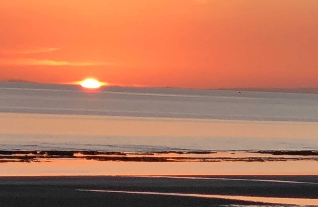 Las Palomas Phase 2 Tropical Modern Beach Condo w/Beautiful Sunset Views!