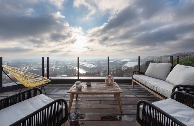 Le 360 - Appt vue panoramique sur Lyon