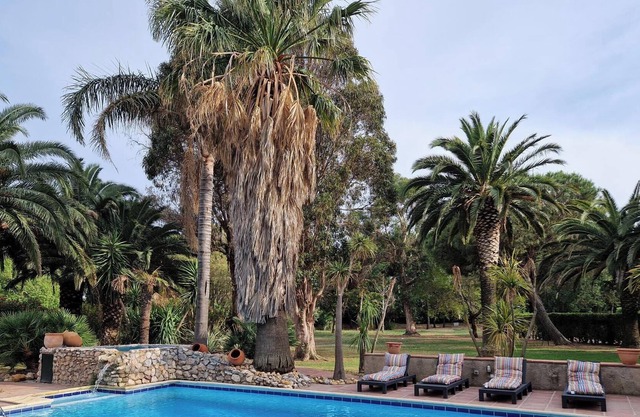 Le Cabanon d'Anaïs - Cozy small house in a beautiful landscape park with pool!