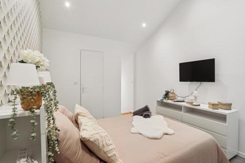 " Le Cocon " cosy & design en hypercentre