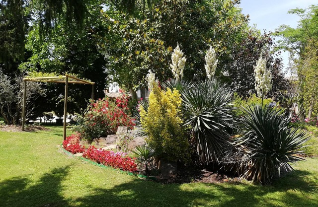 Le jardin provencal 1 LE COIN RETRO
