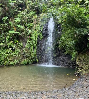 Le Ketmie nature et découverte
