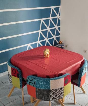 Le petit cactus 3