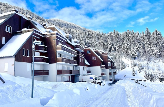 LE PLEYNET apartment 6 pers 40m2
