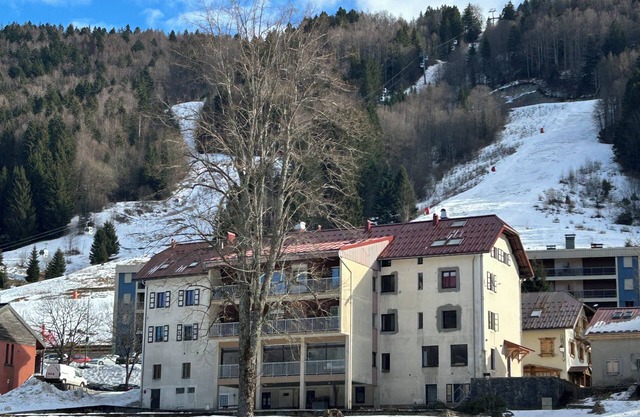 LELEXINE APARTMENT AT THE FOOT OF THE MONTS JURA SLOPES