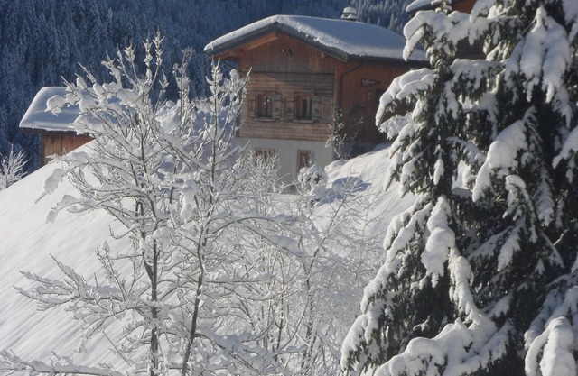 Les Gets/Haute-Savoie individual chalet for 5 people with sauna